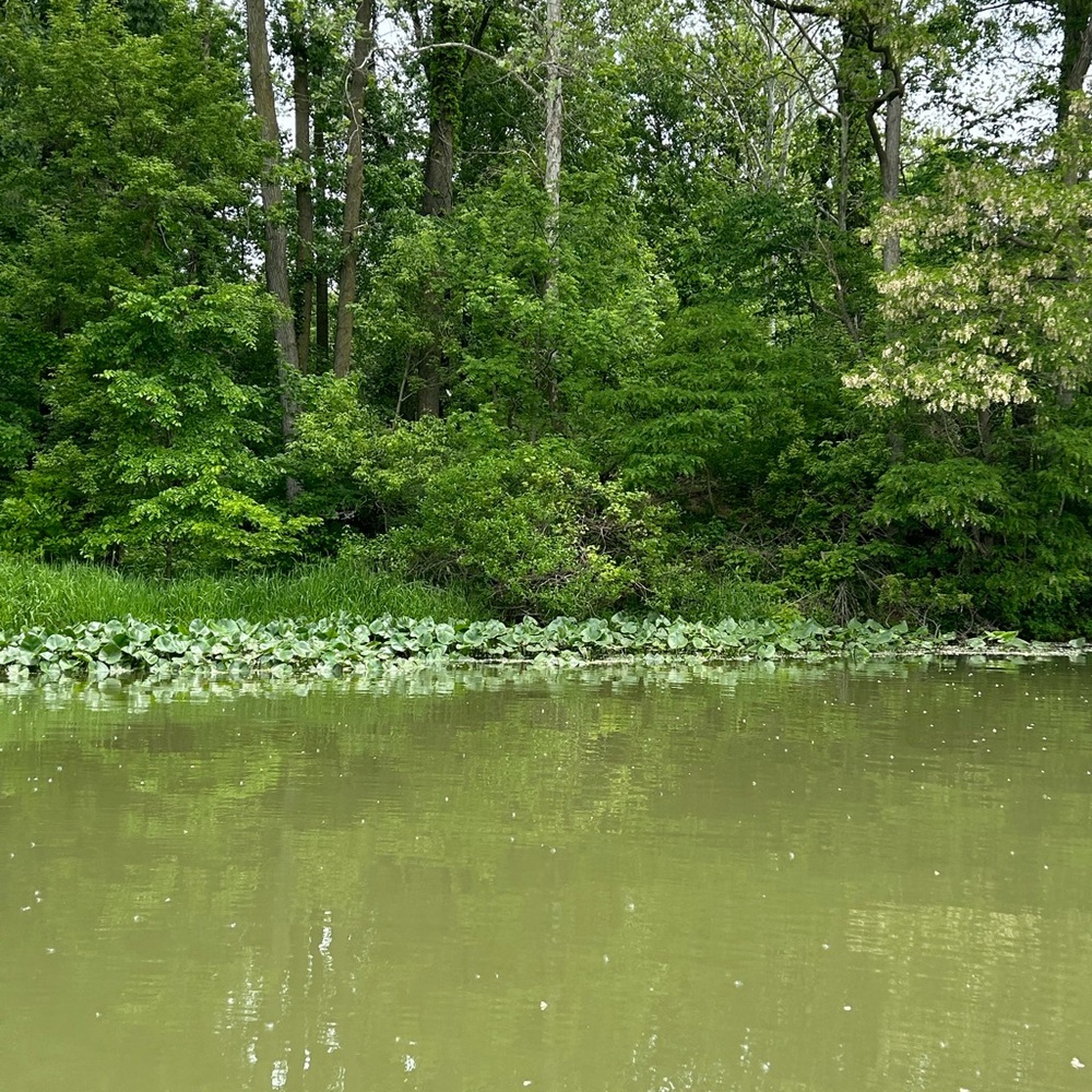 Meet your Posher, Maddi